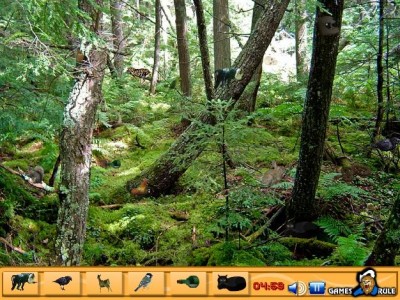 Hidden Objects Jungle 2