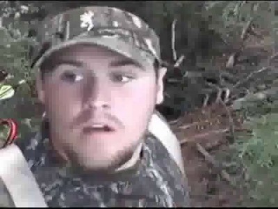 Медведь карабкается на дерево