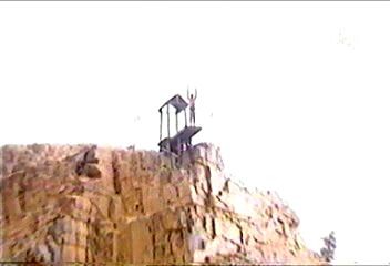 osama bin laden's Sports Camp