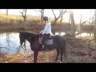 Анна и Волшебный конь