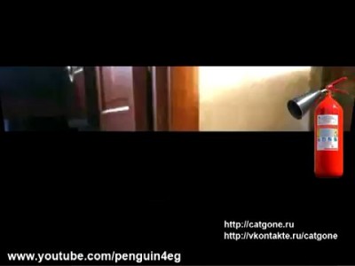 Кот ушел красиво 5 | Cat gone | Thriller Cat 5 | - Афанасий