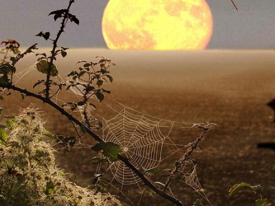 Музыка для релаксации