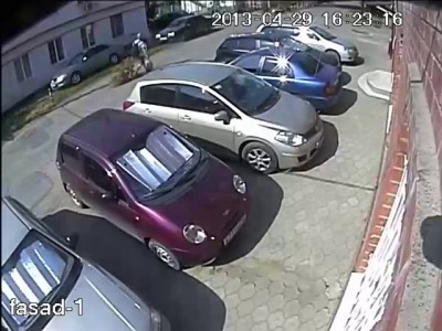 Вынеси елку