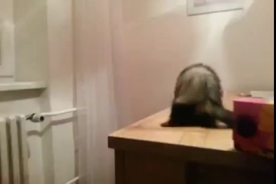 Когда ты уверен в своих силах