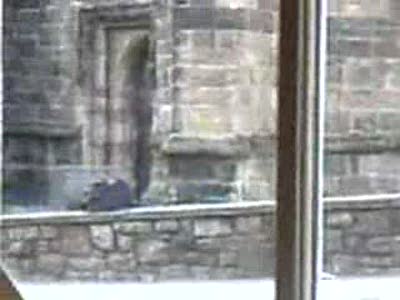 Неудачно пописал