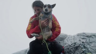 World's First Wingsuit BASE Jumping Dog