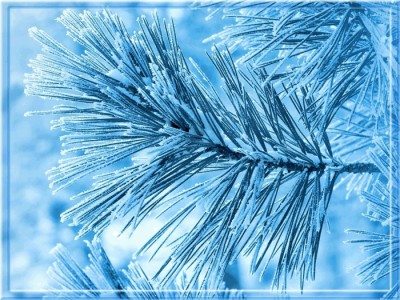 Доброго вечера!