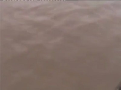 Рыбалка пошла не по плану !