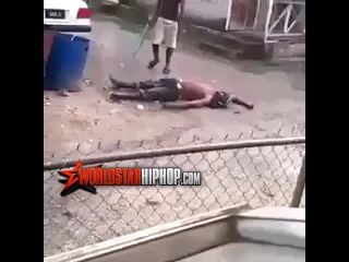 Смачный шлепок