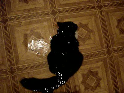 Кошка и валерьянка