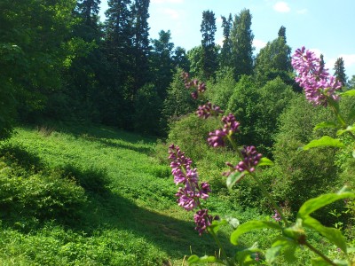 В облаках