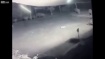 Леопард напал на спящую собаку