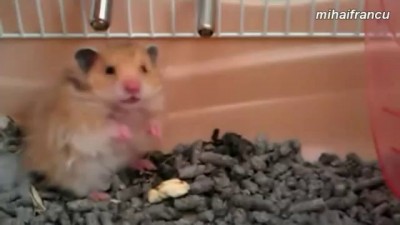 В меня стреляли