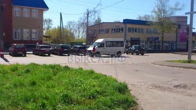 поймала белку