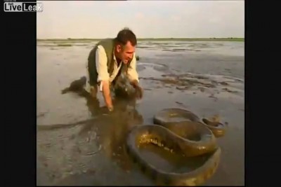 Смелый серпентолог