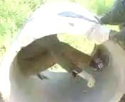 Детство в *опе заиграло.