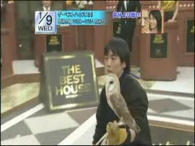 реакция совы