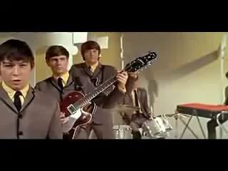 Animals---House-of-the-Rising-Sun