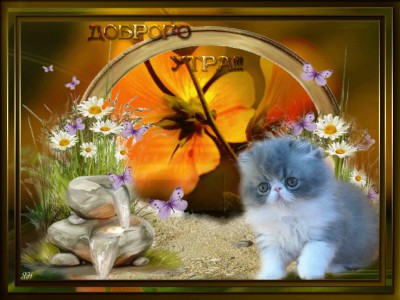 ДОБРОЕ УТРО !!!