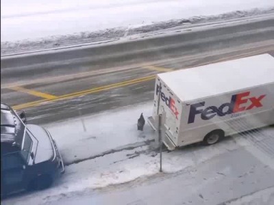 Отважная индейка