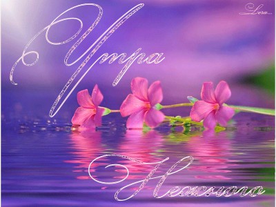 нежного утра