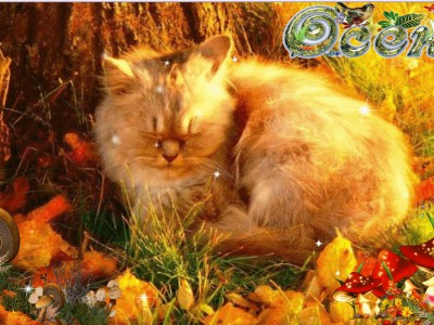 Красавица Рыжая Осень