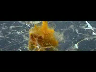 полет пули сквозь различные предметы(замедленная съем