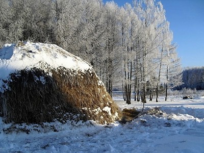 Николай Голованов - Деревенька моя