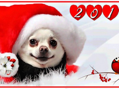 «С Новым Годом и Рождеством!»