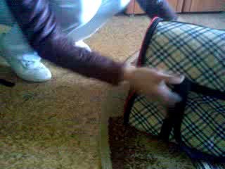 Не дает закрыть сумку-переноску