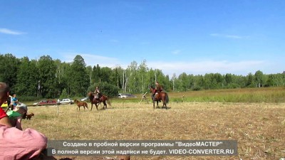 Боевой жеребенок