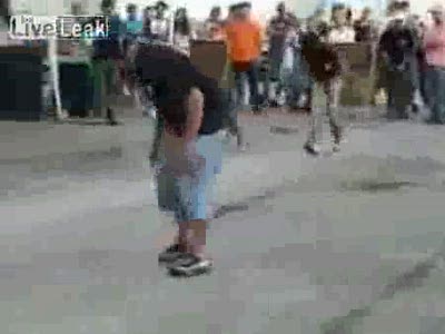 Летающие питбули