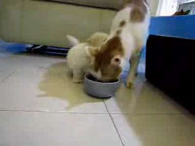 Немножко позитива