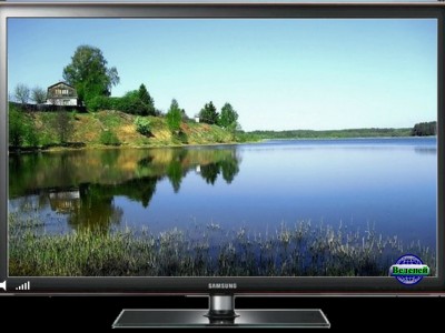 Пение птиц - Камышовка.