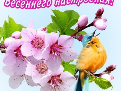 Весеннего настроения!
