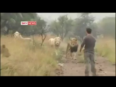 Мужчина-Лев