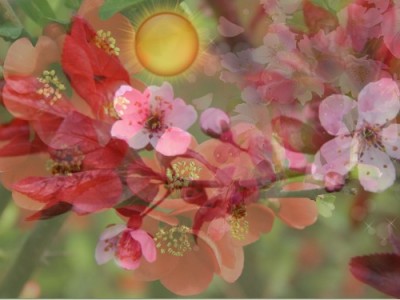 Пусть всегда будет солнце