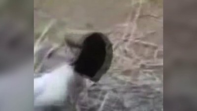 Ка-ка бу-бу!!