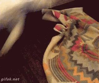 Пацаны, идите жрать!