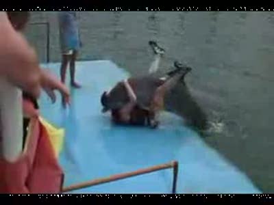 Дельфин отжигает с мужиком