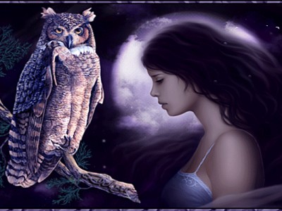 «Ночные птицы...»