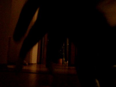 Кот нападает