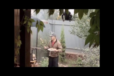 Гражданские ментов гоняют