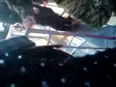 Крокодайл Андрюшка и обдолбаная гламурная девица