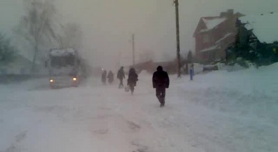 Пинск альбрехтово