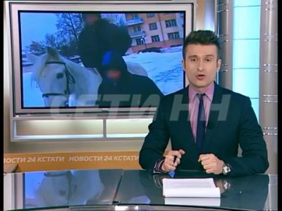 Взбесившаяся лошадь стала давить детей