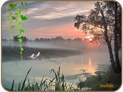 Россия. А. Днепров.