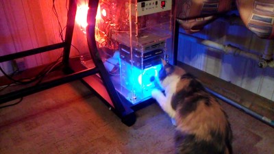 Котэ vs куллер