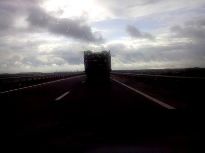 буренки с шариками