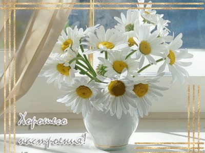 ХОРШЕГО ДНЯ...